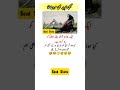 once upon a time we had beer everyday #Saudshirts#Saudshirts#shortfeed#trending#ytshorts