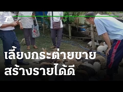 เลี้ยงกระต่ายพันธุ์พื้นเมืองขาย สร้างรายได้ดี | 17-10-65 | ตะลอนข่าว