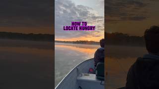 Fall Transition: How To Locate HUNGRY Fish! 🎣🐟 #shorts #fishing #fish
