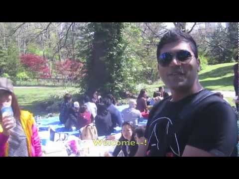 JAVA & JETAA & JCSA Picnic in High Park