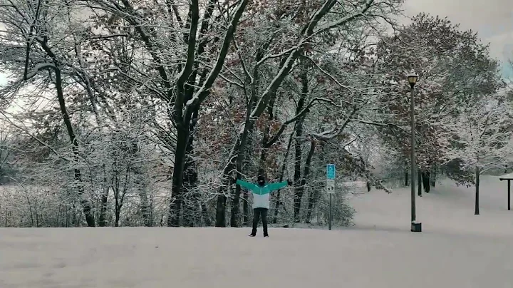 Beautiful Snow in Minnesota Winter December 2022