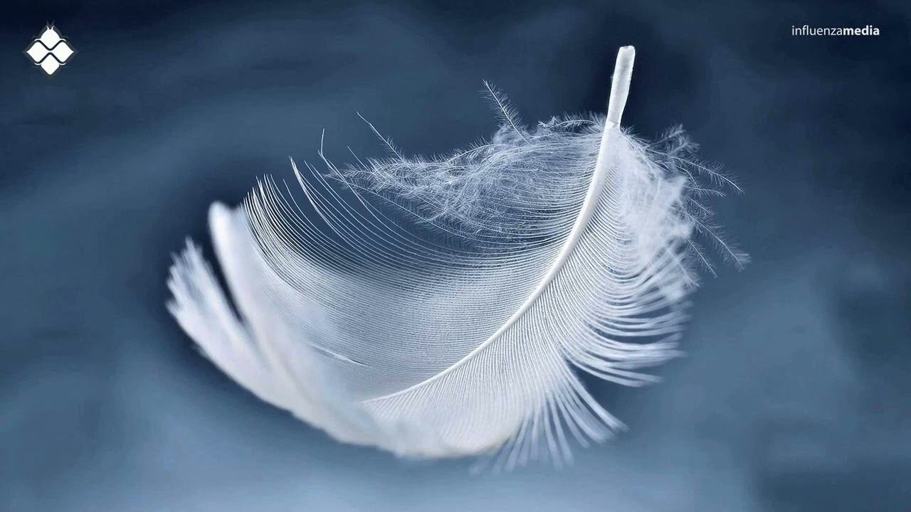 MiesFM - Tell Me Why Me