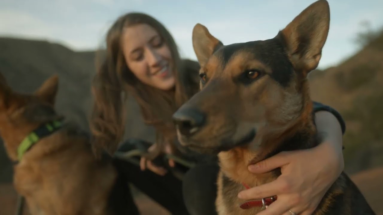 The first honest Chevron ad