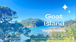 Goat Island Marine Reserve