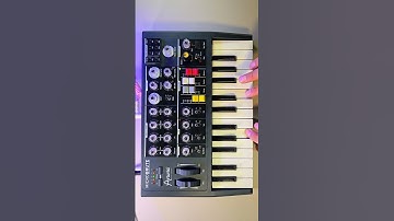 Arturia Microbrute Jam #arturia #arturiamicrobrute