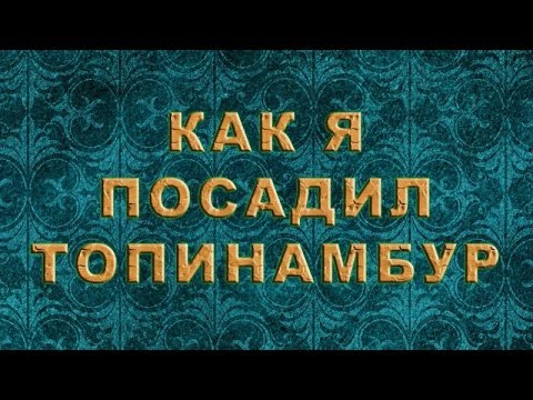 Как Я посадил топинамбур. (Осенняя посадка)