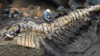 Famous 9 Most Amazing Recent Discoveries! Net Worth