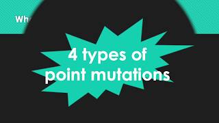 GN 311 Effects of point mutations in DNA