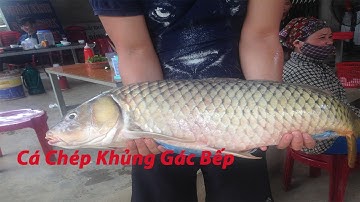Gác Bếp Cá Chép Khủng Và Cái Kết Bất Ngờ | Cá Gác Bếp