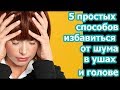 шум в голове и ушах , головокружение , причины  , лечение народными средствами