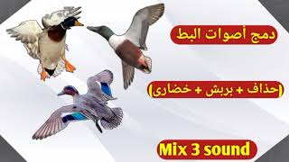 دمج صوت البط  حذاف بربش خضارى                 - اسمعها