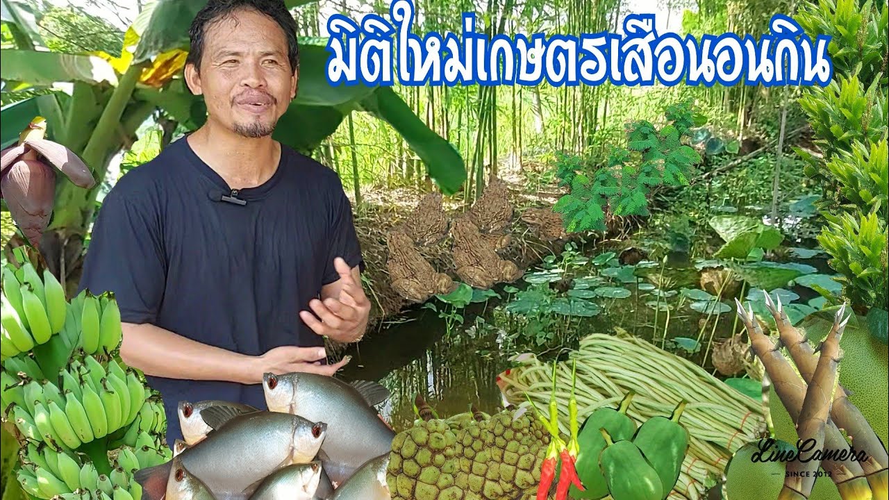 สร้างมิติใหม่ทำเกษตร|แบบเสือนอนกินตลาดวิ่งหา|เงินไหลมาเทมา#เกษตรอินทรีย์