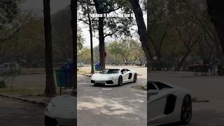The Bull God Ft. Lamborghini Aventador In Bianco C White Shade