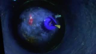 Finding Nemo Bruce chase marlin and dory in widescreen