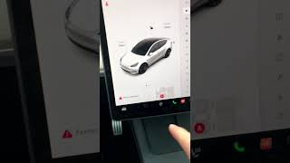 Tesla Model 3 or Y Increase Text Size #shorts