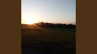 Download Lagu Sampun MP3