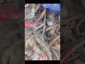 Finally OUT! Why this Starter FAILED 😱🔥 (Part 4)  #carmaintenance #carrepair #garagefix #shorts