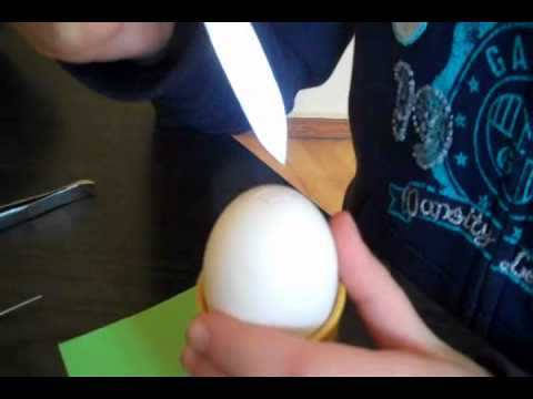 სააღდგომო კვერცხები