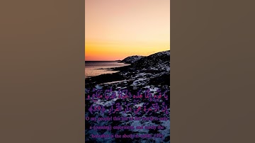 Surah Ghafir/ Ahmad Al-Obaid / سورة غافر / أحمد العبید