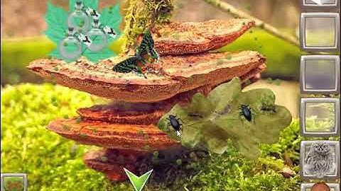 Moss Forest Adventure Video Walkthrough