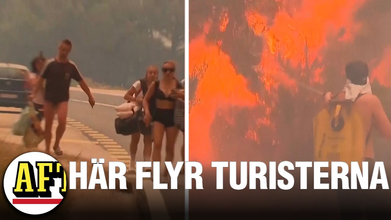 Kroatien drabbade av skogsbränder – turister evakueras