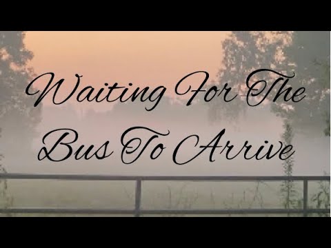 Waiting for the Bus to Arrive (Short Film)