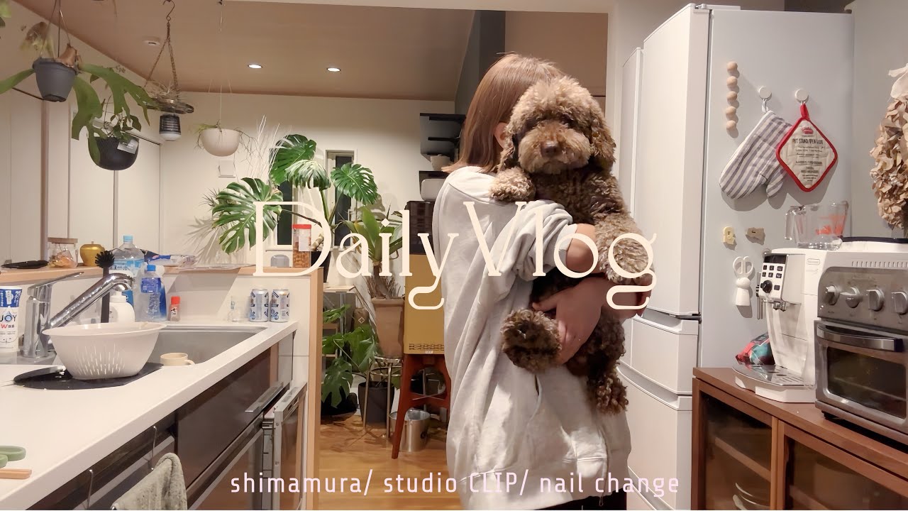 〖購入品〗 #vlog と しまむらと studio CLIP🌸 推しさんコラボ雑貨🇰🇷🍜