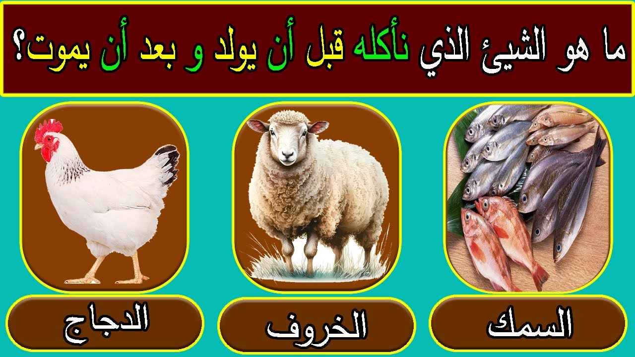 اسئلة ثقافية دينية و الغاز معلومات عامة سؤال وجواب جناح المعرفة