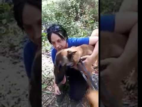 ‫הפרלמנט של שישי‬‎ - YouTube