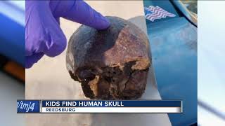 Kids find human skull in Reedsburg