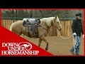 Clinton Anderson: Training a Rescue Horse, Part 13 - Downunder Horsemanship