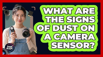 What Are The Signs Of Dust On A Camera Sensor?