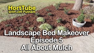 Landscape Bed Makeover Episode 5  All About Mulch
