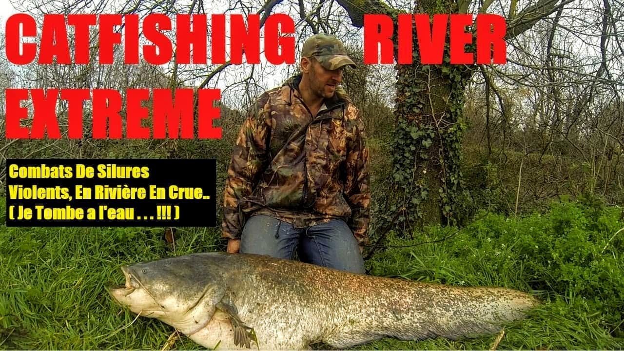 CATFISHING RIVER EXTREME !!! Combats De Silures Violents En Rivière En