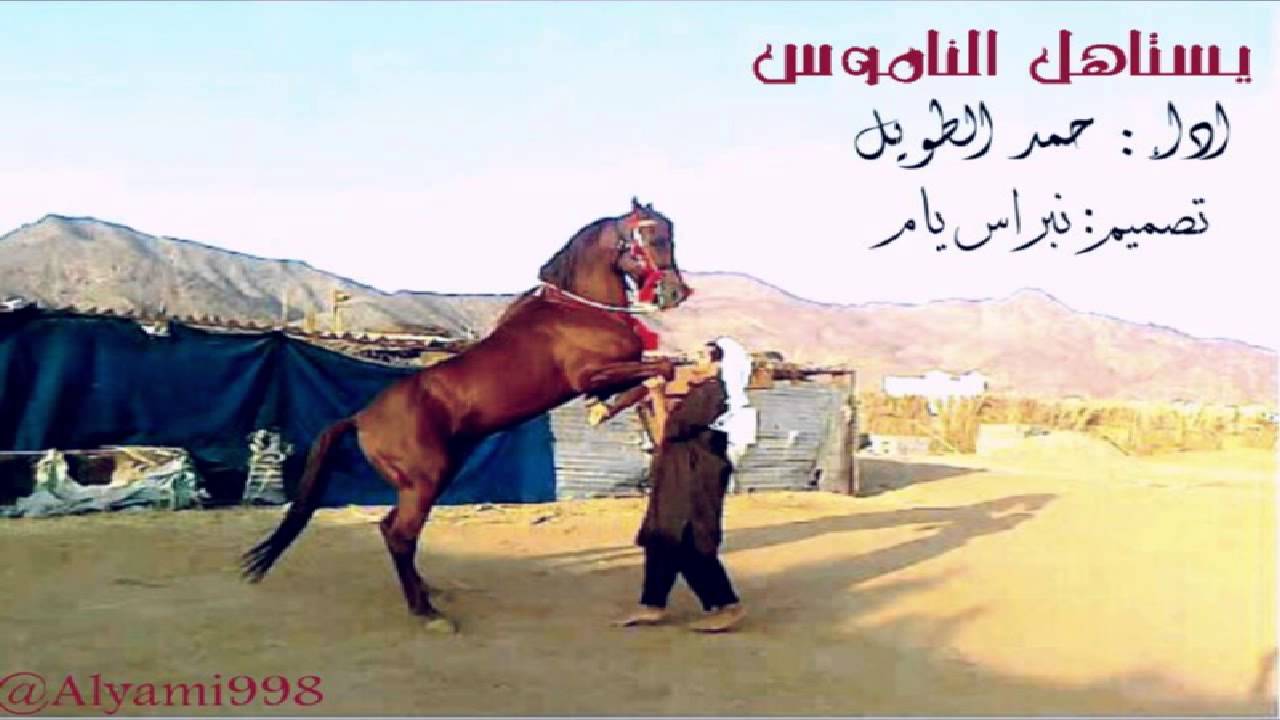 حمد الطويل ♪♪  | يستاهل الناموس |2014   ♫..