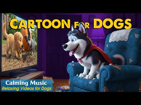 Dog Cartoon: Relaxing Dog TV & Anti-Anxiety Music for Dogs Home Alone | Dog Videos to Keep Dogs Calm