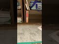 解名します