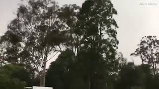 MASSIVE lightning bolt splits a tree in HALF!