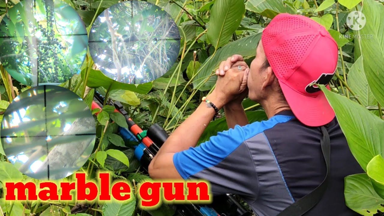 alimukon bird hunting (e.p.16) | asentado vlogs tv