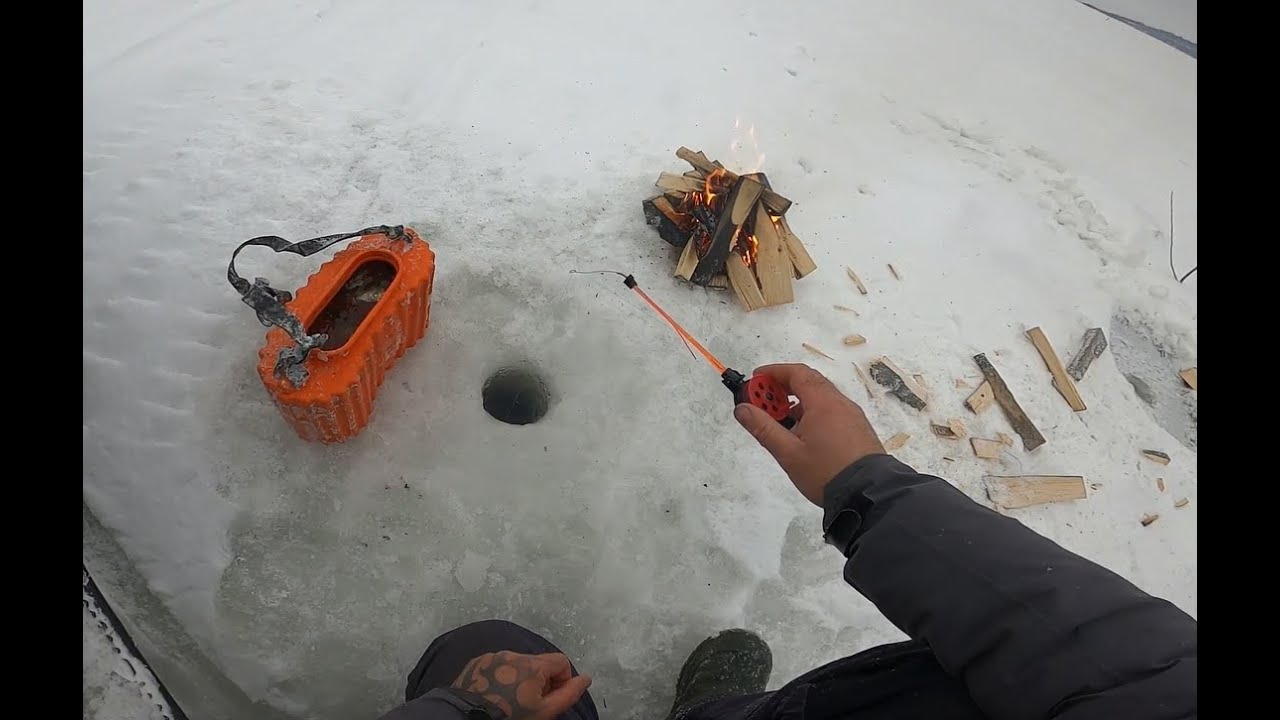 Не диалоги о рыбалке 2025г последние видео