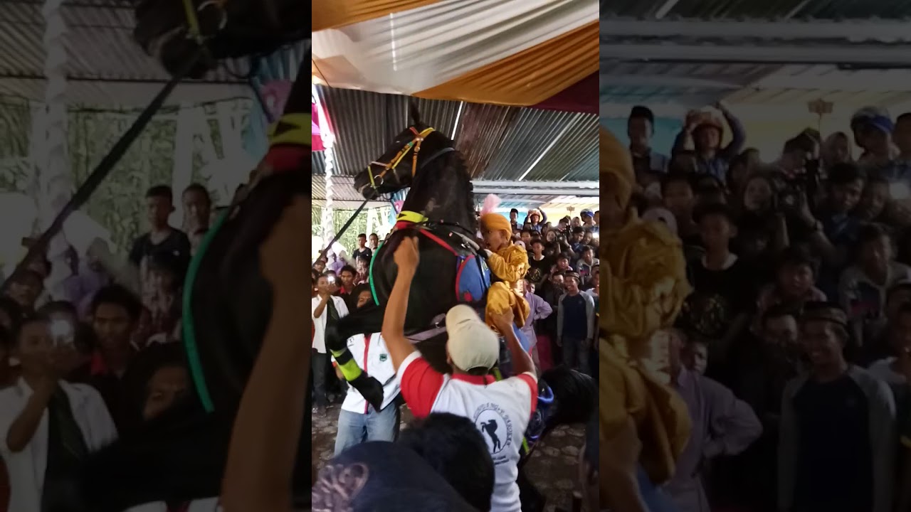 jaran goyan,marvel putra bangkit,kuda jingkrak jaran mumbul arak arakan khataman di desa pucangagung