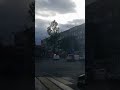 Момент работы этого экипажа ДПС в Братске на дороге возле пешеходного перехода попал в кадр #shorts