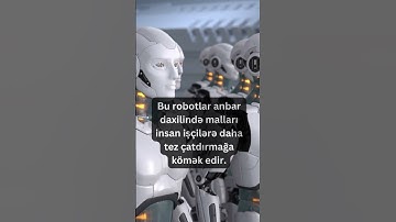 ℹ️ From the series of interesting facts - Amazon