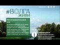 Обращение к подписчикам - поддержи проект ВолгаЖиви!