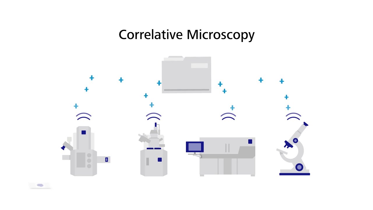ZEISS: What is Correlative Microscopy?