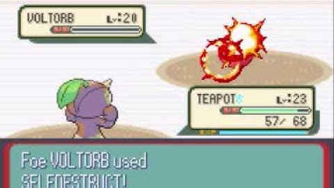 Pokemon Ruby Wattson