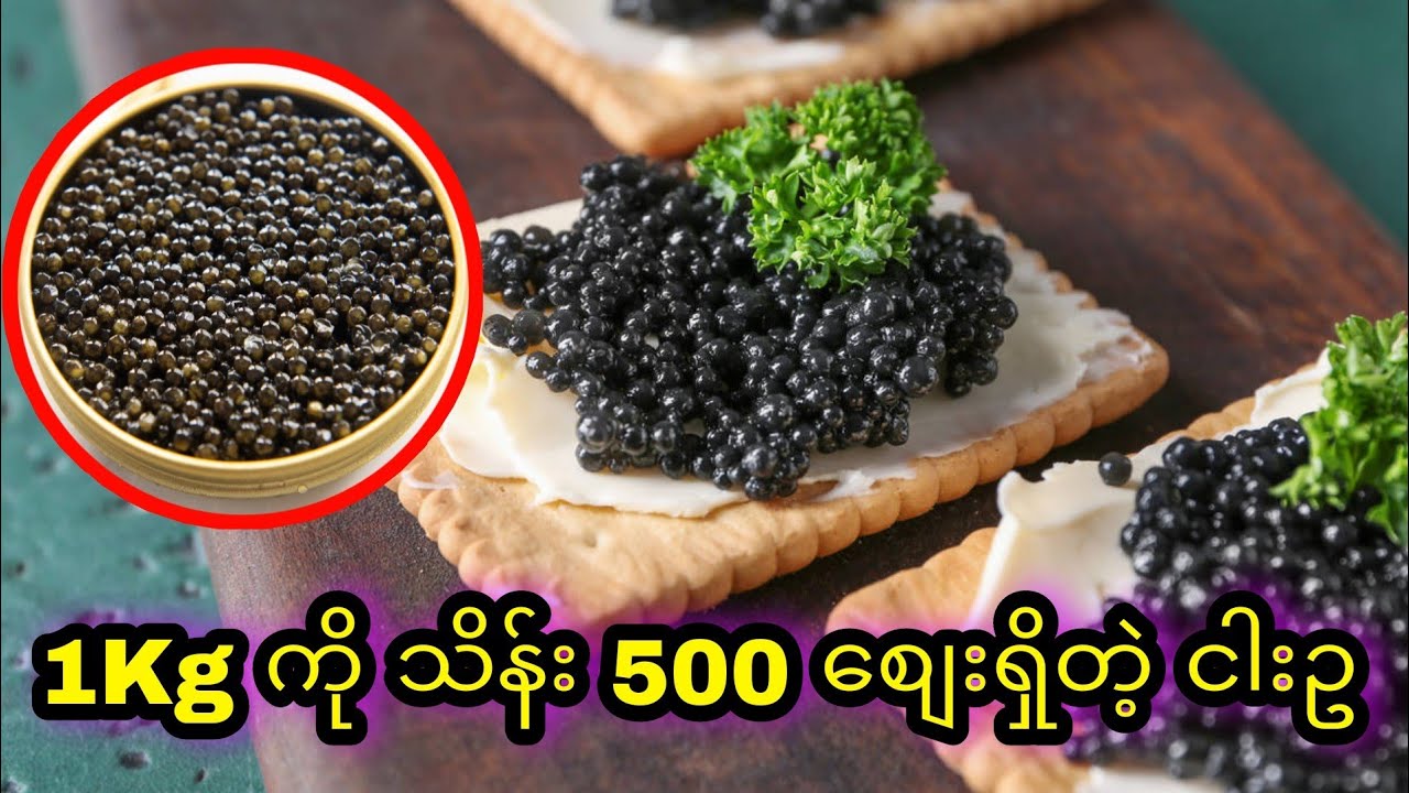 ကမ္ဘာ့စျေးအကြီးဆုံး အစားအစာ(သို့) Luxury အစားအစာ ငါးဥအနက်လေးတွေအကြောင်း