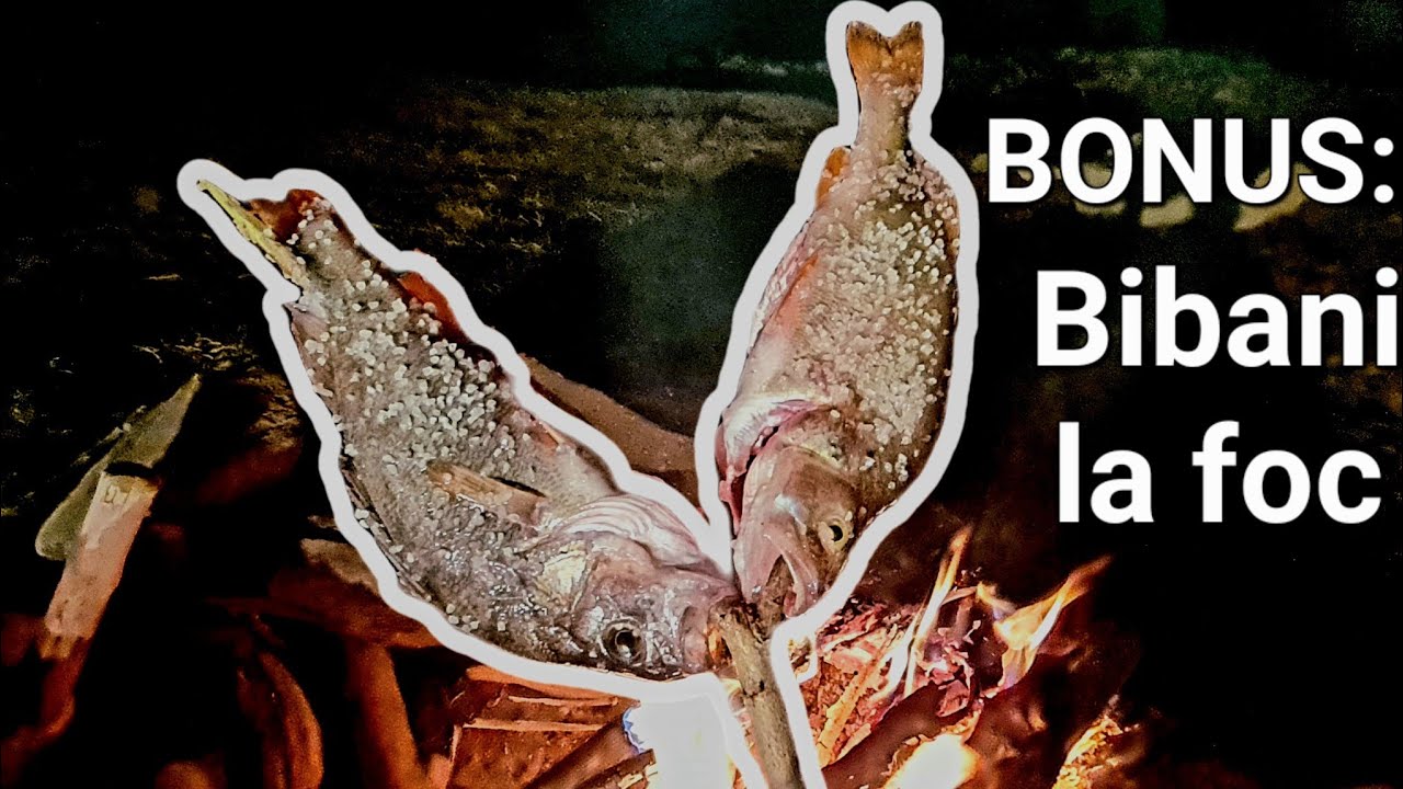 Cu CAIACUL în IANUARIE - O PARTIDĂ de PESCUIT cu NEAȘTEPTAT de multă ACTIVITATE pe Barajul Paltinu