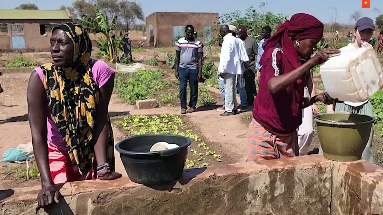 𝐃𝐞𝐬 𝐯𝐨𝐥𝐨𝐧𝐭𝐚𝐢𝐫𝐞𝐬 𝐝𝐞 𝐖𝐨𝐫𝐥𝐝 𝐕𝐢𝐬𝐢𝐨𝐧 𝐀𝐥𝐥𝐞𝐦𝐚𝐠𝐧𝐞 𝐜𝐨𝐧𝐬𝐭𝐚𝐭𝐞𝐧𝐭 𝐥’𝐢𝐦𝐩𝐚𝐜𝐭 𝐝𝐮 𝐩𝐚𝐫𝐫𝐚𝐢𝐧𝐚𝐠𝐞 𝐚𝐮 𝐒𝐞́𝐧𝐞́𝐠𝐚𝐥