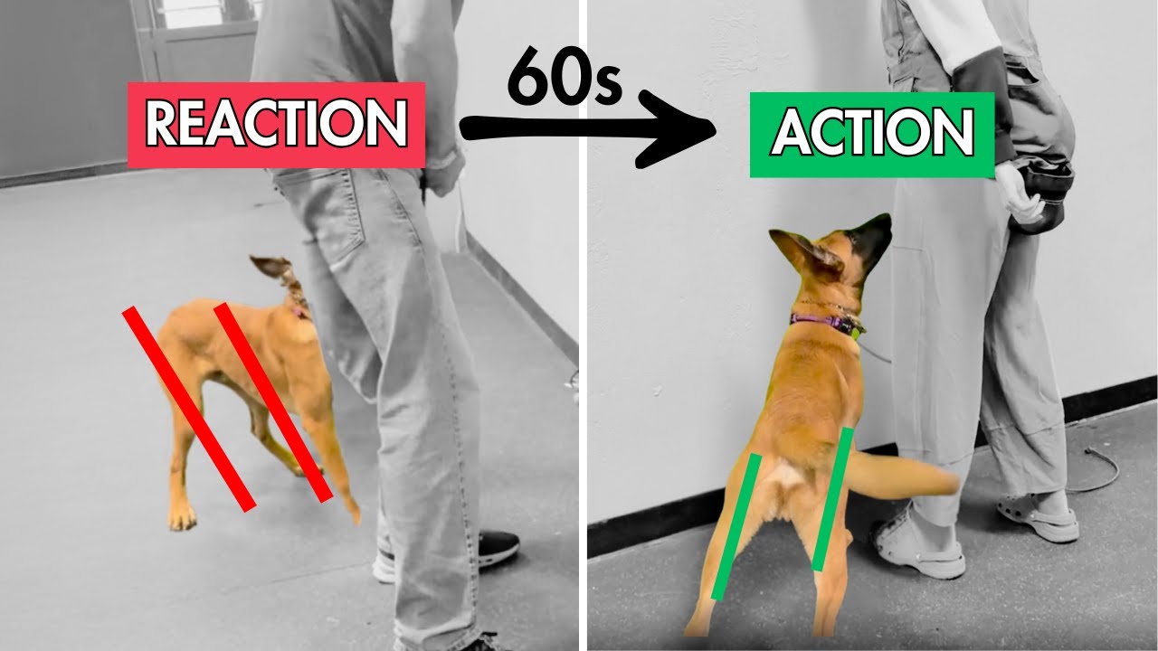 Почему этот подход к обучению настолько эффективен (объяснение отрицательного подкрепления)